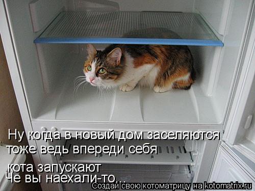 Ну когда в новый дом заселяются тоже ведь впереди себя кота запускают Че вы наехали-то...... Котоматрица: Ну когда в новый дом заселяются тоже ведь впереди себя кота запускают Че вы наехали-то...