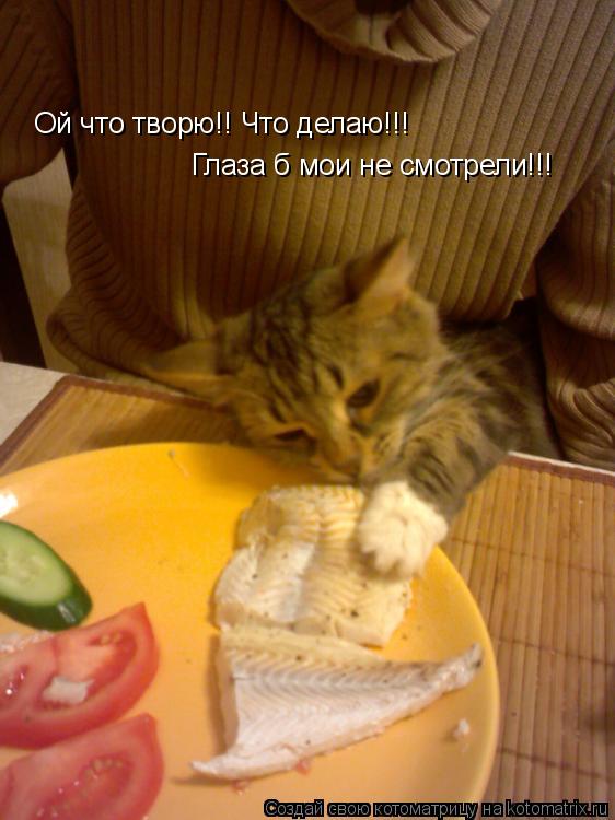 Котоматрица: Ой что творю!! Что делаю!!! Глаза б мои не смотрели!!!