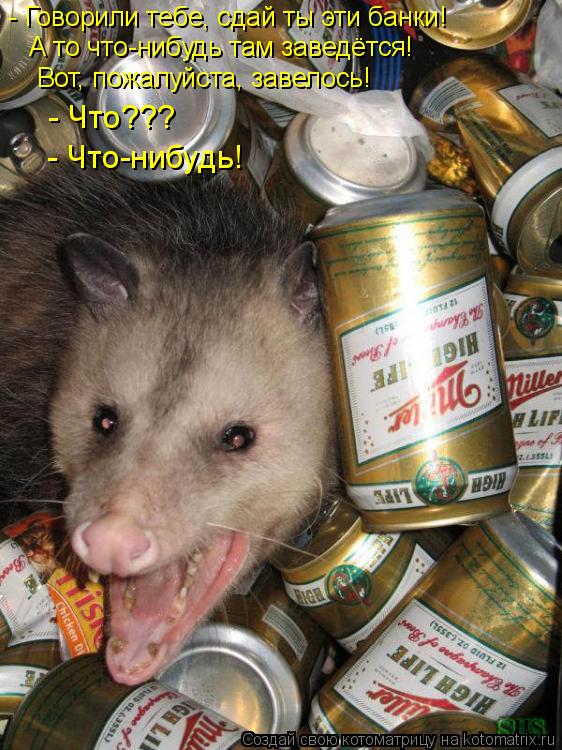- Говорили тебе, сдай ты эти банки! А то что-нибудь там заведётся! Вот, пожалуйста, завелось! - Что??... Котоматрица: - Говорили тебе, сдай ты эти банки! А то что-нибудь там заведётся! Вот, пожалуйста, завелось! - Что??? - Что-нибудь!