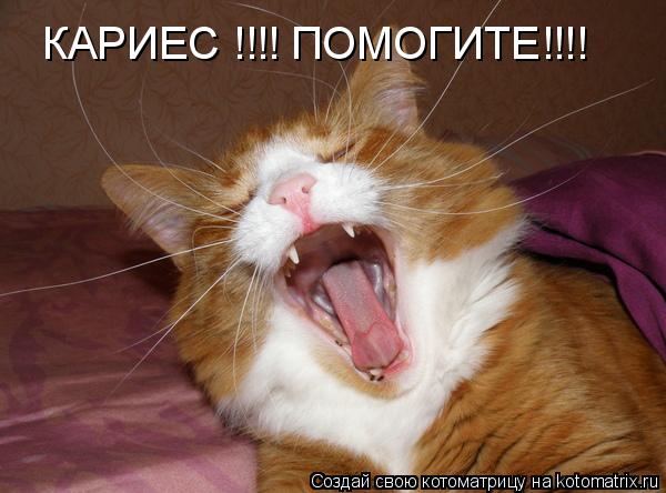 Котоматрица: КАРИЕС !!!! ПОМОГИТЕ!!!!