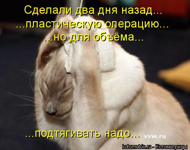 Сделали два дня назад... ...пластическую операцию... ...но для объёма... ...подтягивать надо...... Котоматрица: Сделали два дня назад... ...пластическую операцию... ...но для объёма... ...подтягивать надо...
