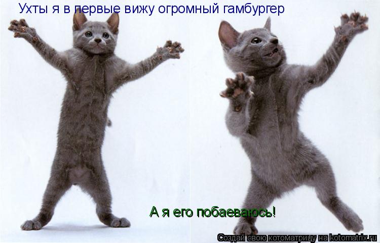 Ухты я в первые вижу огромный гамбургер А я его побаеваюсь!... Котоматрица: Ухты я в первые вижу огромный гамбургер А я его побаеваюсь!