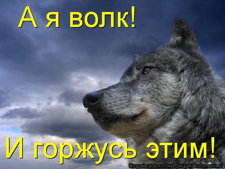 А я волк! И горжусь этим!... Котоматрица: А я волк! И горжусь этим!