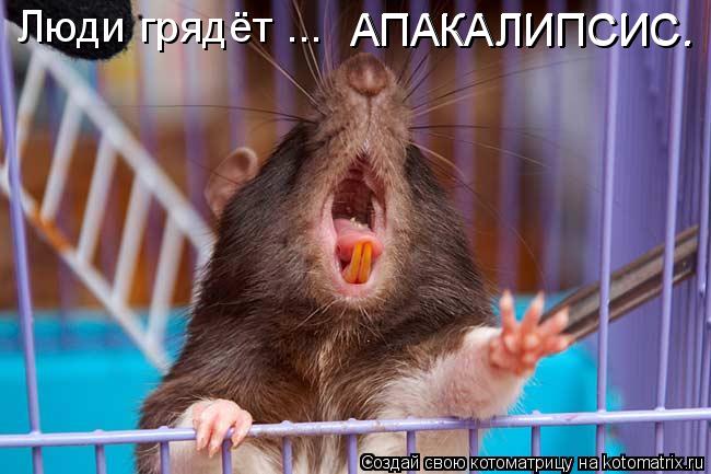 Котоматрица: Люди грядёт ... АПАКАЛИПСИС. АПАКАЛИПСИС.