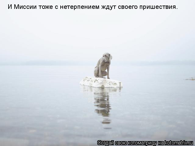 И Миссии тоже с нетерпением ждут своего пришествия.... Котоматрица: И Миссии тоже с нетерпением ждут своего пришествия.