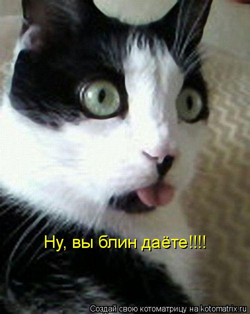 Ну, вы блин даёте!!!!... Котоматрица: Ну, вы блин даёте!!!!