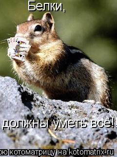Белки, должны уметь всё!!!... Котоматрица: Белки, должны уметь всё!!!