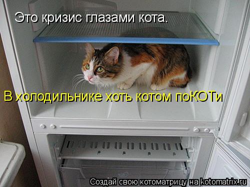 Котоматрица: Это кризис глазами кота.  В холодильнике хоть котом поКОТи