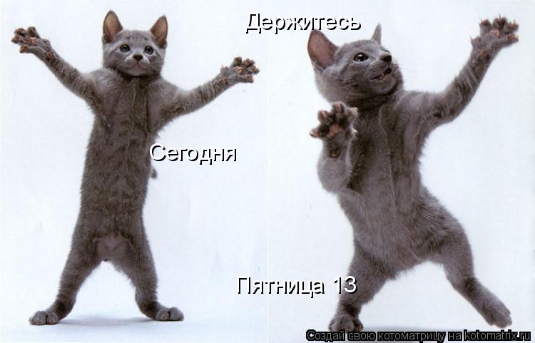 Держитесь Сегодня Пятница 13... Котоматрица: Держитесь Сегодня Пятница 13