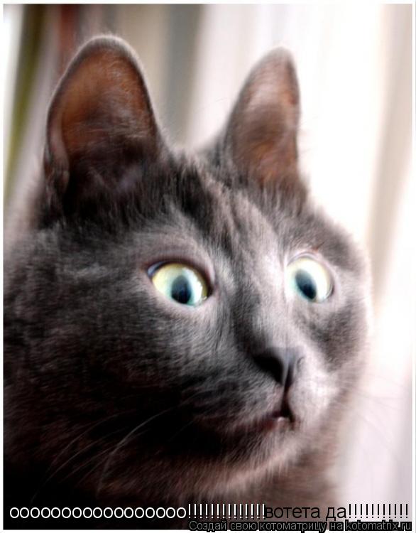 Котоматрица: ооооооооооооооооо!!!!!!!!!!!!!! вотета да!!!!!!!!!!!