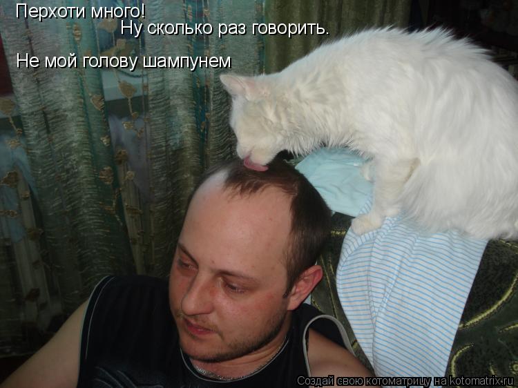 Перхоти много! Ну сколько раз говорить. Не мой голову шампунем... Котоматрица: Перхоти много! Ну сколько раз говорить. Не мой голову шампунем