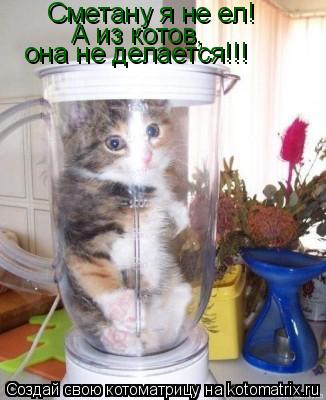 Сметану я не ел! А из котов, она не делается!!!... Котоматрица: Сметану я не ел! А из котов, она не делается!!!