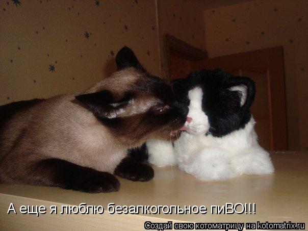 А еще я люблю безалкогольное пиВО!!!... Котоматрица: А еще я люблю безалкогольное пиВО!!!