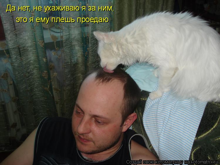 Да нет, не ухаживаю я за ним, это я ему плешь проедаю... Котоматрица: Да нет, не ухаживаю я за ним, это я ему плешь проедаю