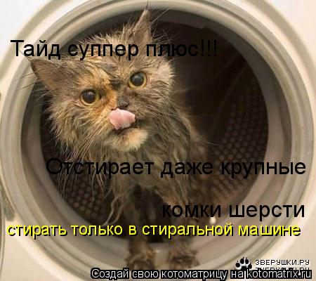 Тайд суппер плюс!!! Отстирает даже крупные комки шерсти стирать только в стиральной машине... Котоматрица: Тайд суппер плюс!!! Отстирает даже крупные комки шерсти стирать только в стиральной машине