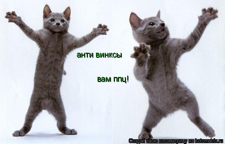 анти винксы вам ппц!... Котоматрица: анти винксы вам ппц!