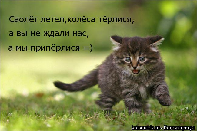 Саолёт летел,колёса тёрлися, а вы не ждали нас, а мы припёрлися =)... Котоматрица: Саолёт летел,колёса тёрлися, а вы не ждали нас, а мы припёрлися =)