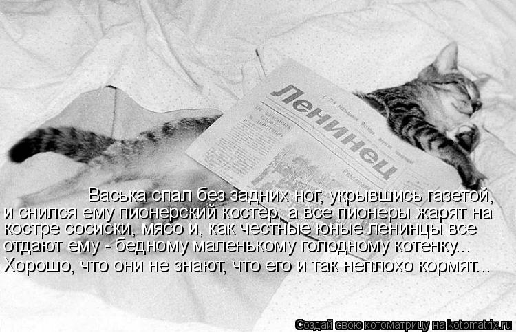 Васька спал без задних ног, укрывшись газетой, и снился ему пионерский костер, а все пионеры жарят на... Котоматрица: Васька спал без задних ног, укрывшись газетой, и снился ему пионерский костер, а все пионеры жарят на костре сосиски, мясо и, как честные юны