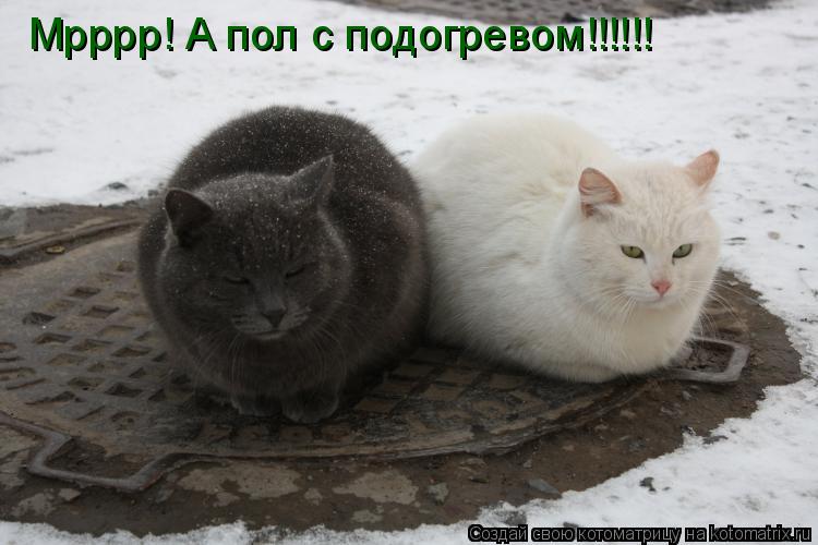 Мрррр! А пол с подогревом!!!!!!... Котоматрица: Мрррр! А пол с подогревом!!!!!!