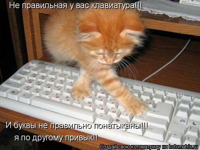Не правильная у вас клавиатура!!! И буквы не правильно понатыканы!!! я по другому привык!!... Котоматрица: Не правильная у вас клавиатура!!! И буквы не правильно понатыканы!!! я по другому привык!!