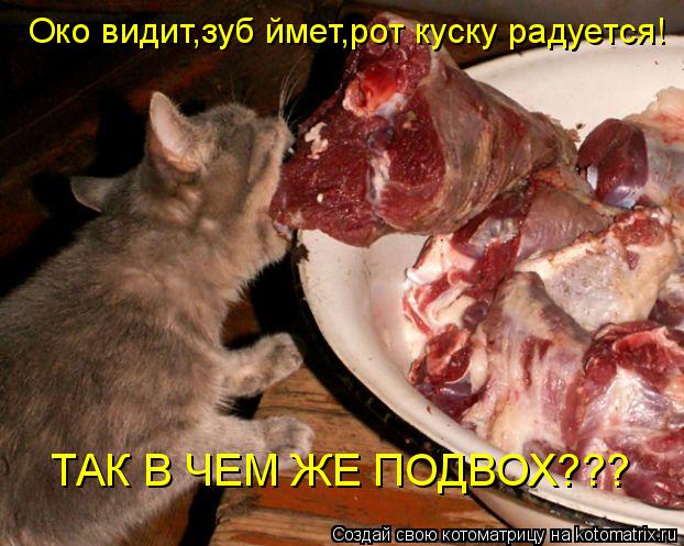 Око видит,зуб ймет,рот куску радуется! ТАК В ЧЕМ ЖЕ ПОДВОХ???... Котоматрица: Око видит,зуб ймет,рот куску радуется! ТАК В ЧЕМ ЖЕ ПОДВОХ???