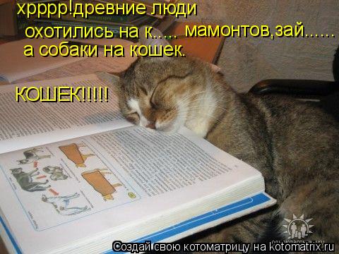 хрррр!древние люди охотились на к..... мамонтов,зай...... а собаки на кошек. КОШЕК!!!!!... Котоматрица: хрррр!древние люди охотились на к..... мамонтов,зай...... а собаки на кошек. КОШЕК!!!!!