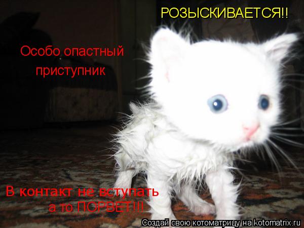 Котоматрица: РОЗЫСКИВАЕТСЯ!! В контакт не вступать Особо опастный приступник а то ПОРВЕТ!!!