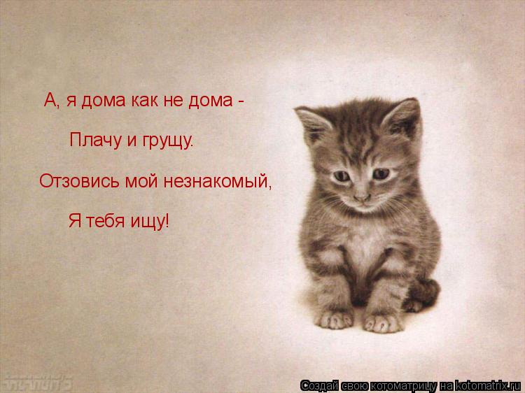 А, я дома как не дома - Плачу и грущу. Отзовись мой незнакомый, Я тебя ищу!... Котоматрица: А, я дома как не дома - Плачу и грущу. Отзовись мой незнакомый, Я тебя ищу!