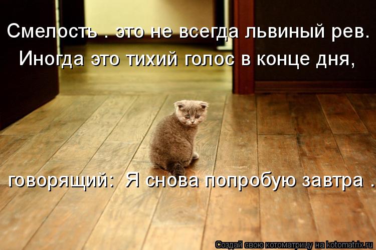 Смелость – это не всегда львиный рев. Иногда это тихий голос в конце дня, говорящий: «Я снова поп... Котоматрица: Смелость – это не всегда львиный рев. Иногда это тихий голос в конце дня, говорящий: «Я снова попробую завтра».