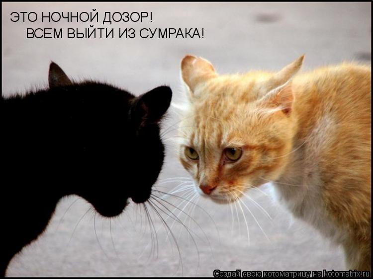 ЭТО НОЧНОЙ ДОЗОР! ВСЕМ ВЫЙТИ ИЗ СУМРАКА!... Котоматрица: ЭТО НОЧНОЙ ДОЗОР! ВСЕМ ВЫЙТИ ИЗ СУМРАКА!