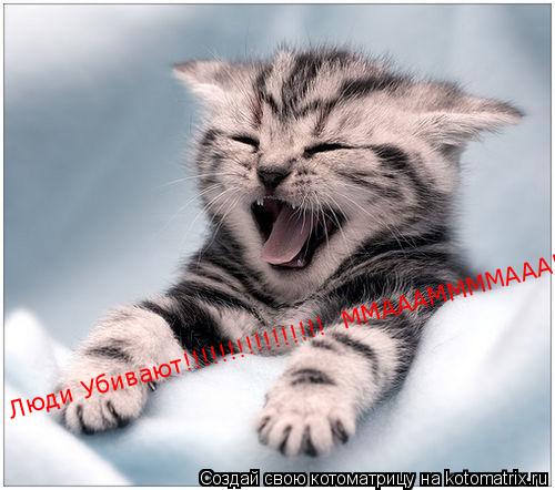 Люди Убивают!!!!!!!!!!!!!!!! ММАААММММААА!!!!!... Котоматрица: Люди Убивают!!!!!!!!!!!!!!!! ММАААММММААА!!!!!