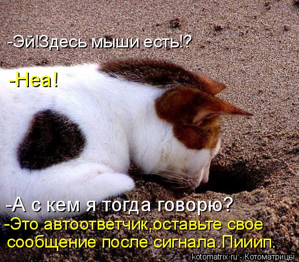 -А с кем я тогда говорю? -Эй!Здесь мыши есть!? -Неа! -Это автоответчик,оставьте свое сообщение после ... Котоматрица: -А с кем я тогда говорю? -Эй!Здесь мыши есть!? -Неа! -Это автоответчик,оставьте свое сообщение после сигнала.Пииип.