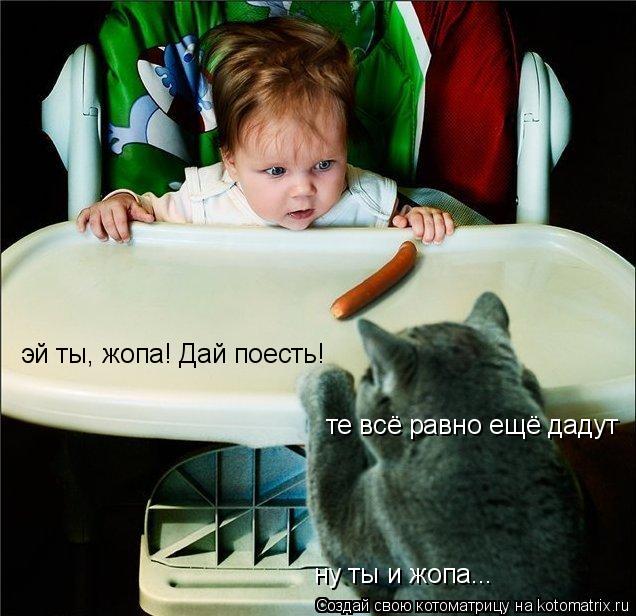 эй ты, жопа! Дай поесть! те всё равно ещё дадут ну ты и жопа...... Котоматрица: эй ты, жопа! Дай поесть! те всё равно ещё дадут ну ты и жопа...