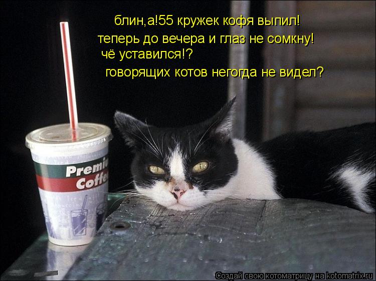 Котоматрица: блин,а!55 кружек кофя выпил! теперь до вечера и глаз не сомкну! чё уставился!? говорящих котов негогда не видел?