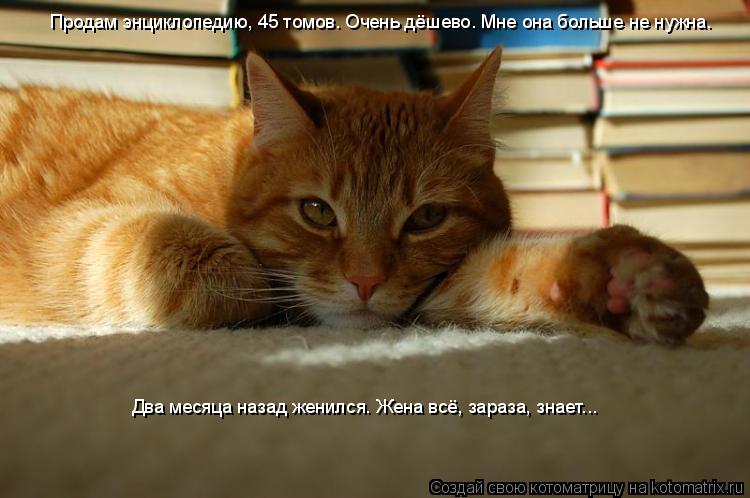 Продам энциклопедию, 45 томов. Очень дёшево. Мне она больше не нужна. Два месяца назад женился. Жена... Котоматрица: Продам энциклопедию, 45 томов. Очень дёшево. Мне она больше не нужна. Два месяца назад женился. Жена всё, зараза, знает...