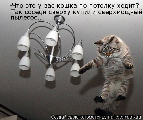 -Что это у вас кошка по потолку ходит? -Так соседи сверху купили сверхмощный пылесос...... Котоматрица: -Что это у вас кошка по потолку ходит? -Так соседи сверху купили сверхмощный пылесос...
