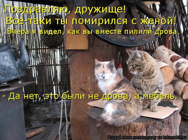 Котоматрица: Поздpавляю, дpyжище!  Все-таки ты помиpился с женой! Вчеpа я видел, как вы вместе пилили дpова. - Да нет, это были не дpова, а мебель.