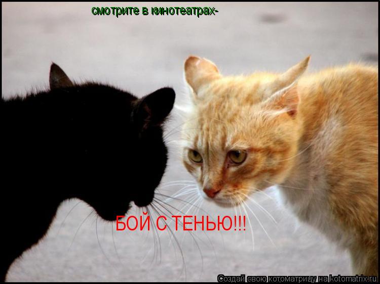 Котоматрица: смотрите в кинотеатрах- БОЙ С ТЕНЬЮ!!!