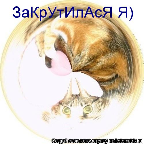 ЗаКрУтИлАсЯ Я)... Котоматрица: ЗаКрУтИлАсЯ Я)