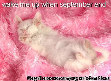 wake me up when september end... Котоматрица: wake me up when september end