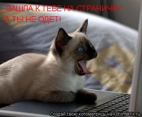 ЗАШЛА К ТЕБЕ НА СТРАНИЧКУ- А ТЫ НЕ ОДЕТ!... Котоматрица: ЗАШЛА К ТЕБЕ НА СТРАНИЧКУ- А ТЫ НЕ ОДЕТ!