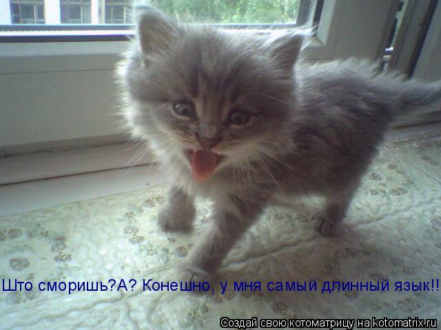 Што сморишь?А? Конешно, у мня самый длинный язык!!... Котоматрица: Што сморишь?А? Конешно, у мня самый длинный язык!!