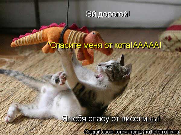 Котоматрица: Эй,дорогой! Я тебя спасу от виселицы! "Спасите меня от кота!ААААА!