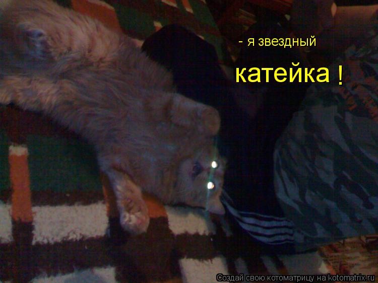 я звездный катейка ! -... Котоматрица: я звездный катейка ! -