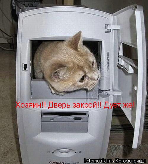 Котоматрица: Хозяин!! Дверь закрой!! Дует же!