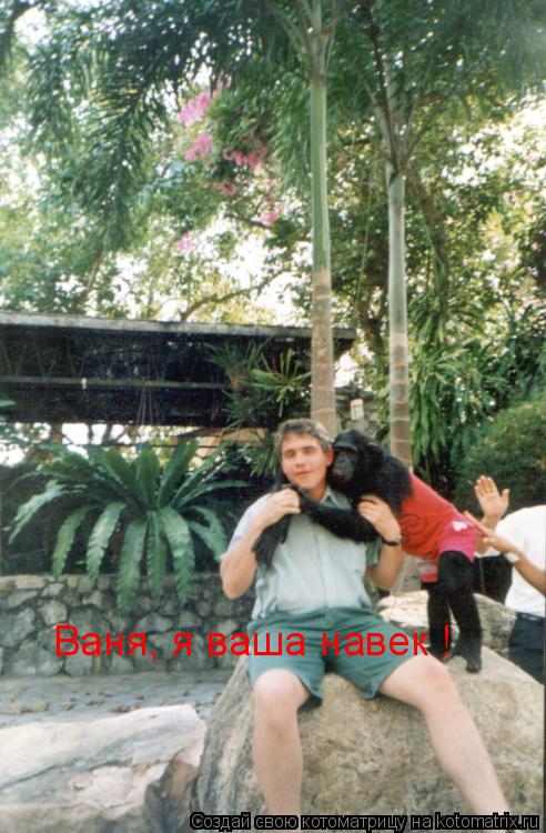 Ваня, я ваша навек !... Котоматрица: Ваня, я ваша навек !