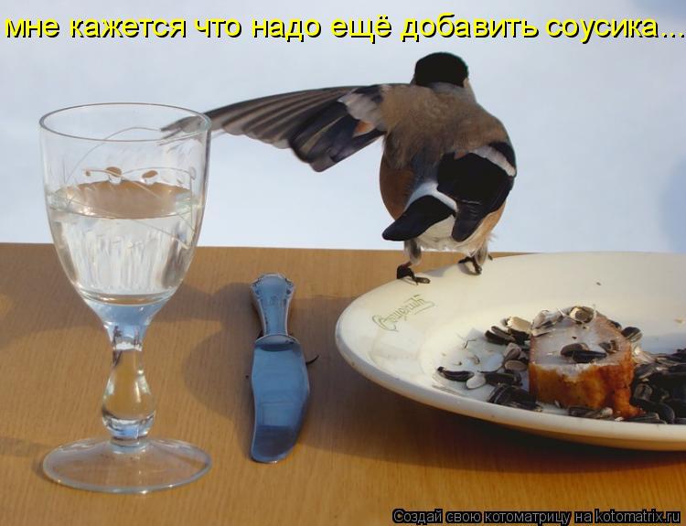 Котоматрица: мне кажется что надо ещё добавить соусика.....