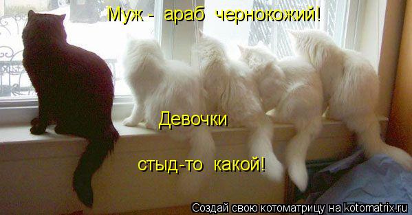 Муж - араб чернокожий! Девочки стыд-то какой!... Котоматрица: Муж - араб чернокожий! Девочки стыд-то какой!