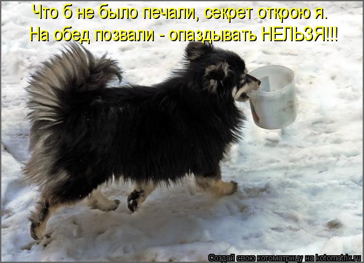 Что б не было печали, секрет открою я. На обед позвали - опаздывать НЕЛЬЗЯ!!!... Котоматрица: Что б не было печали, секрет открою я. На обед позвали - опаздывать НЕЛЬЗЯ!!!