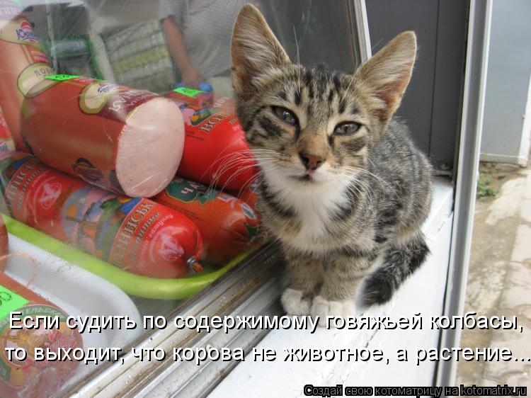 Если судить по содержимому говяжьей колбасы, то выходит, что корова не животное, а растение....... Котоматрица: Если судить по содержимому говяжьей колбасы, то выходит, что корова не животное, а растение....